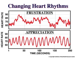 HRV - Changing Heart Rhythms
