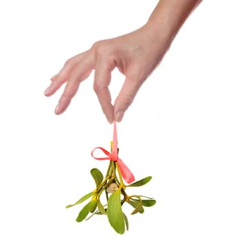 Human palm with hanged mistletoe bunch isolated over white