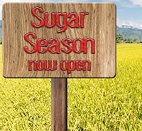 sugar_season1