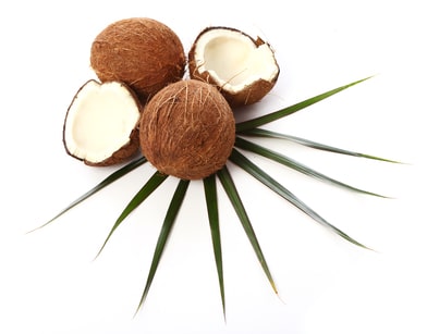 Fresh coconuts on white background