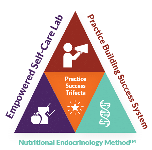 Nutritional Endocrinology Method Pyramid
